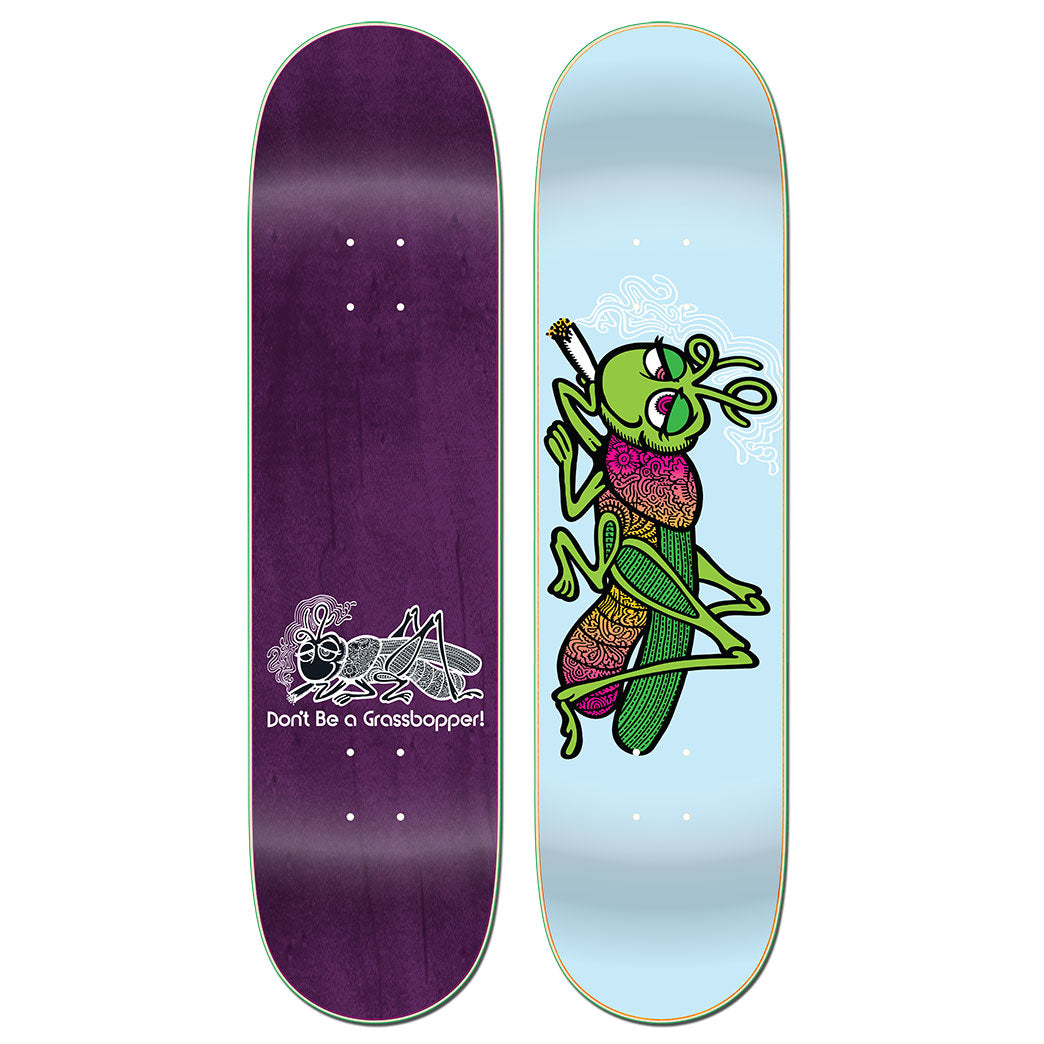 All Brands – Page 243 – western-skate-co